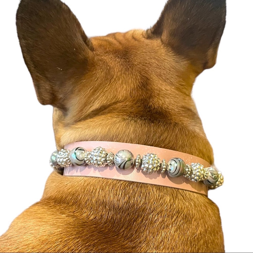 Bold and Beautiful collar